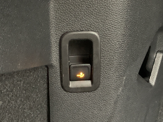 Golf VIII 2.0 TDI Active AHK Pano Navi Kamera